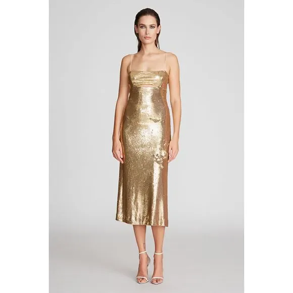 Halston Heritage | Dresses | Halston Heritage Ray Sequinembellished Midi  Dress | Poshmark